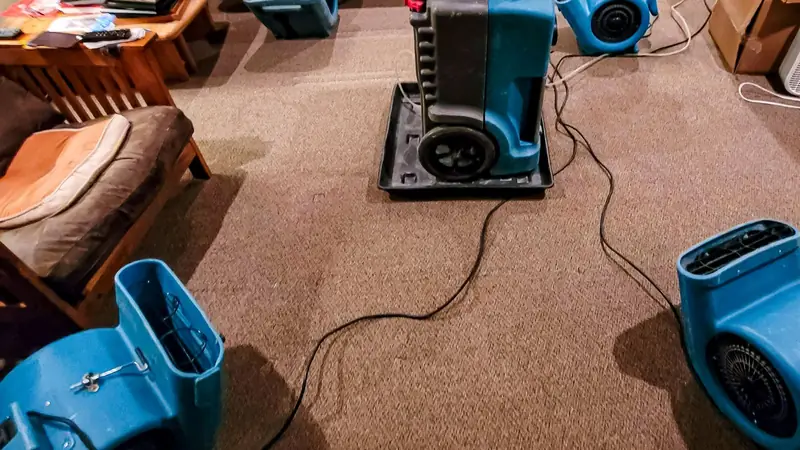 Dehumidifier and air movers drying a carpeted room