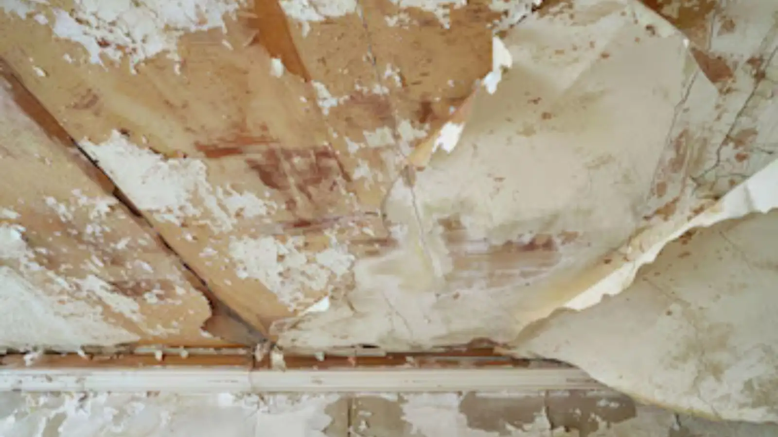 Peeling, water-stained ceiling