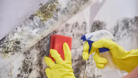 Gloved hands holding a sponge and spray bottle against a mold-stained surface